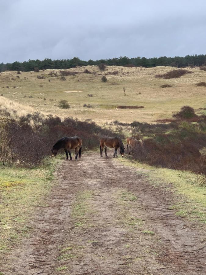Huize Louwra Villa Egmond Binnen Bagian luar foto