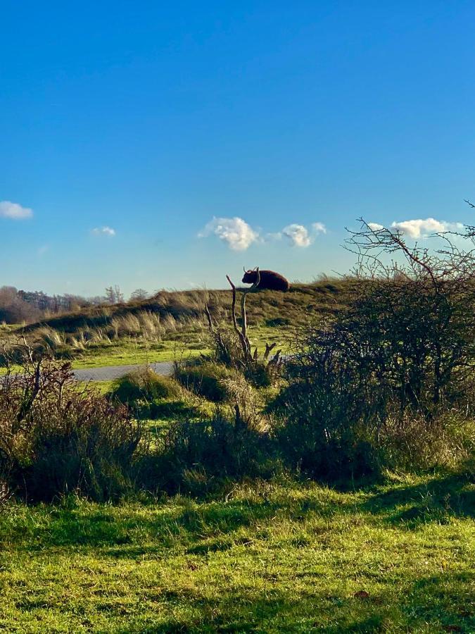 Huize Louwra Villa Egmond Binnen Bagian luar foto