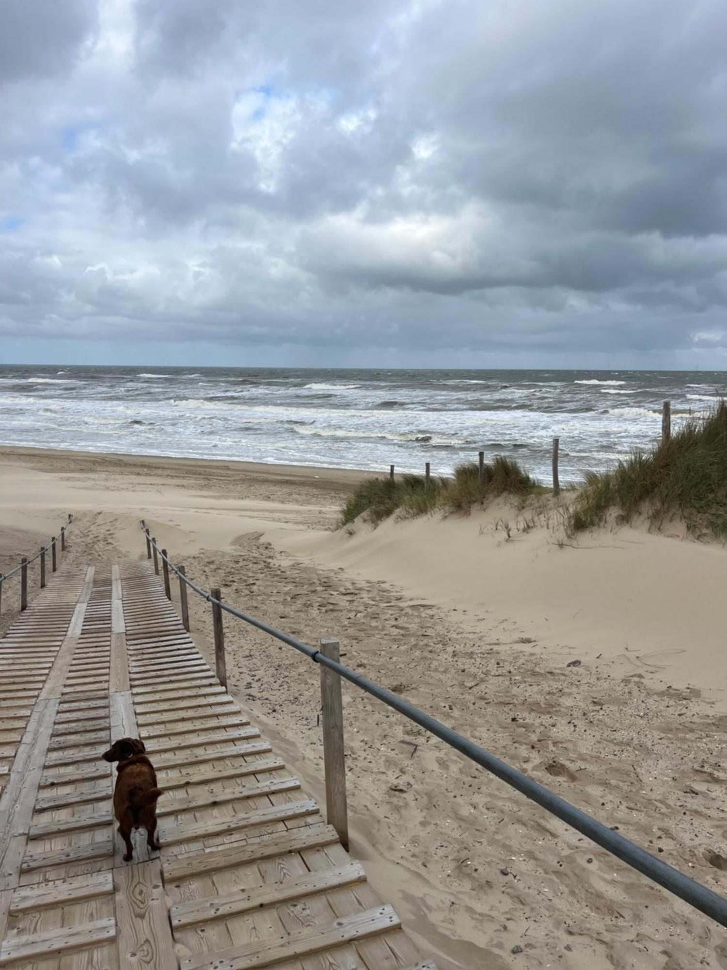 Huize Louwra Villa Egmond Binnen Bagian luar foto